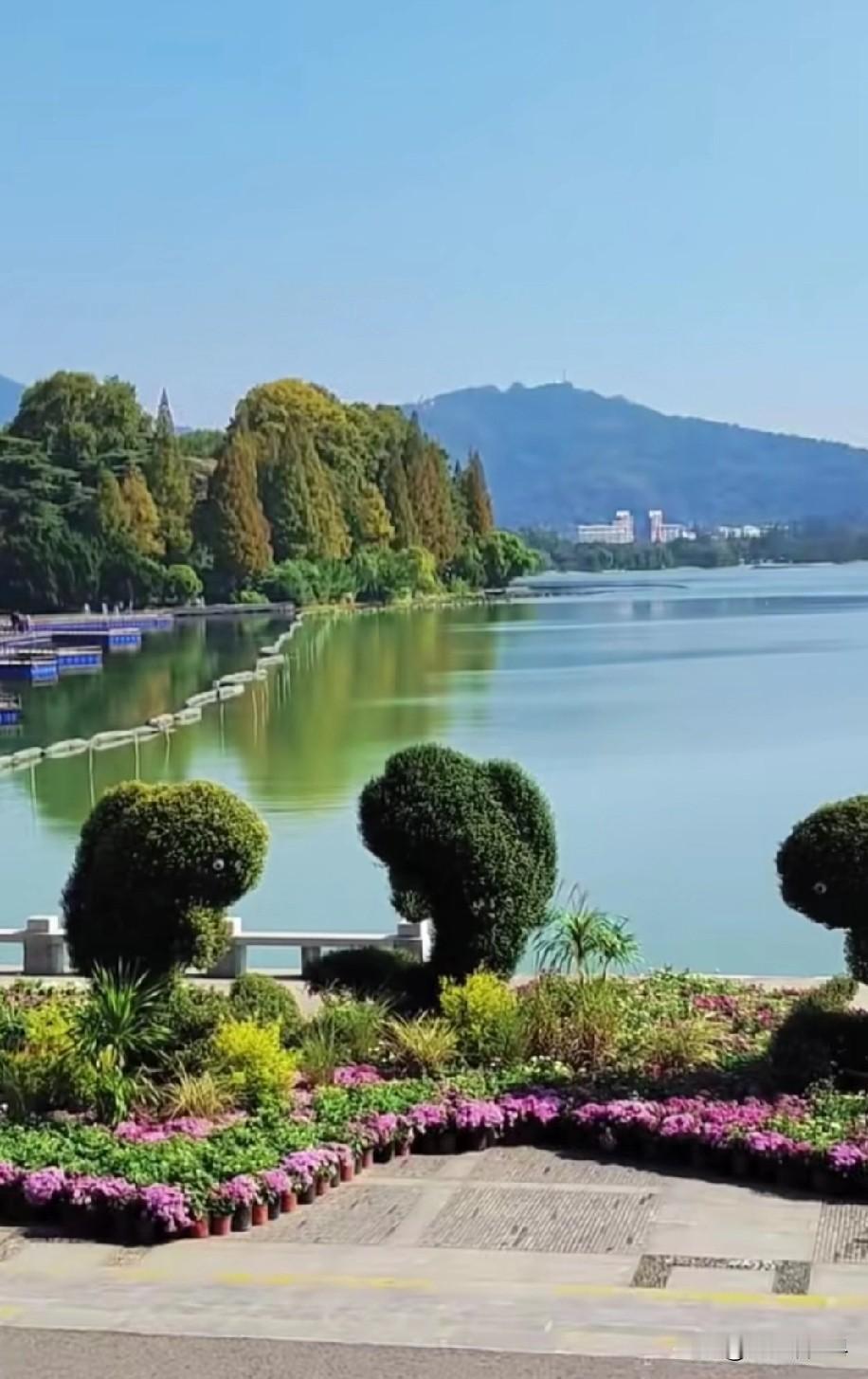 胃癌后，我最害怕的是什么？或许和一些人想的不一样……确诊胃癌后，