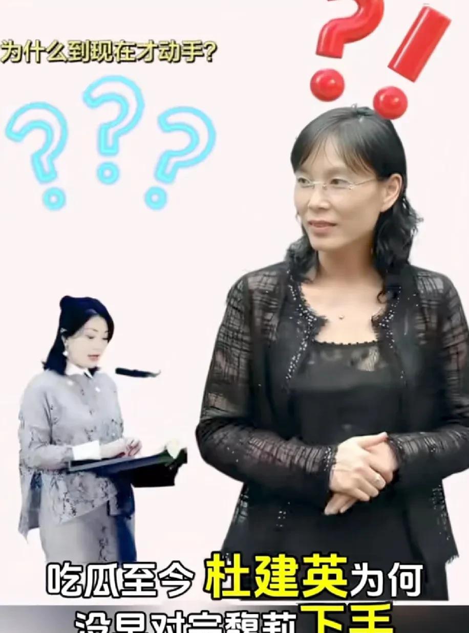 其实吃瓜群众那么多都觉得很奇怪。宗老活着的时候，小三为什么不闹？为什么在人死