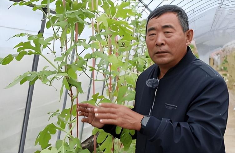 他没上过大学，连高中都没毕业的普通农民，面对美方开出的300万美元天价邀约，他摆