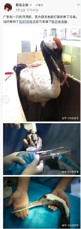 神器被没收了，泯然众鹤矣​​​