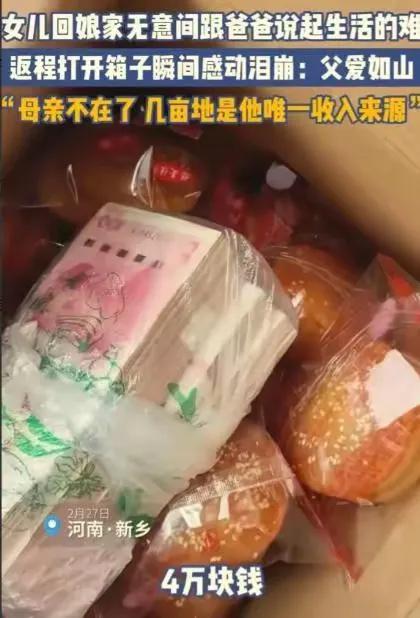 一个破面包箱子，塞着四沓现金——河南新乡这老爹，把几亩地刨出来的全部家当，塞给了