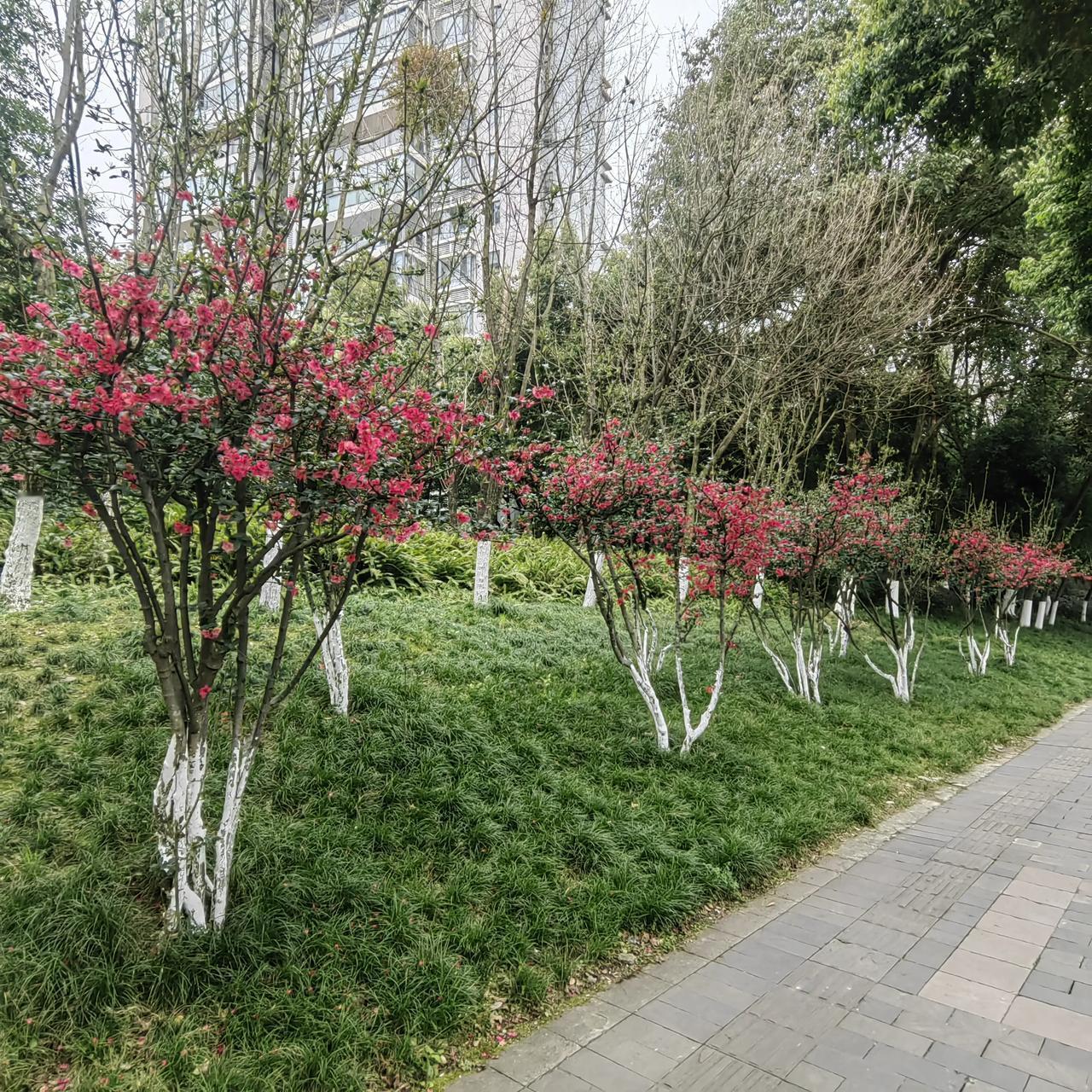 锻炼终究成为老年人，头脑变得已不灵。思维慢半拍。念西却向东。眼花耳渐聋。药