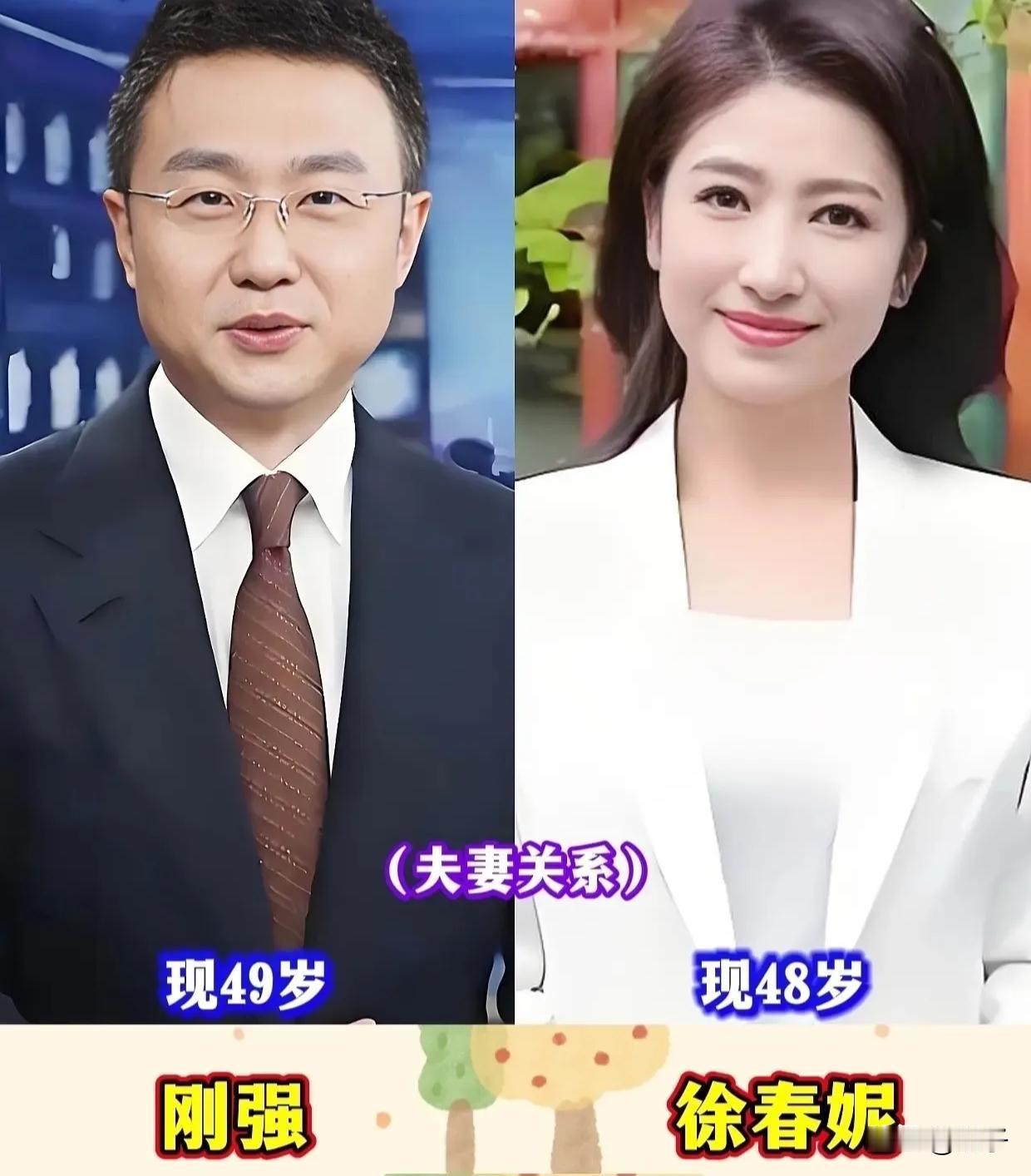 央视荧幕上家喻户晓的主持人，私下原来都是恩爱夫妻！盘点9对低调主持人夫妻，全是行