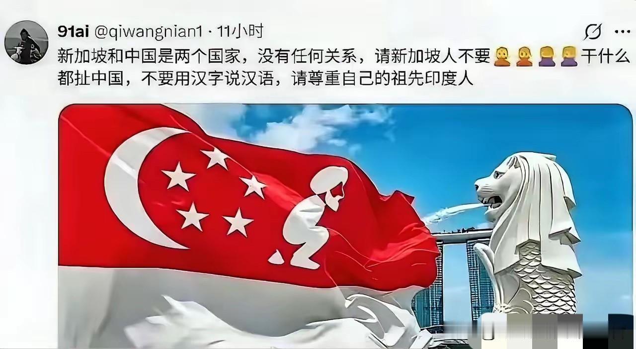 恶搞新加坡国旗的梗图在外网传疯了，“印家坡”这三个字，直接把当地人气炸了最近外