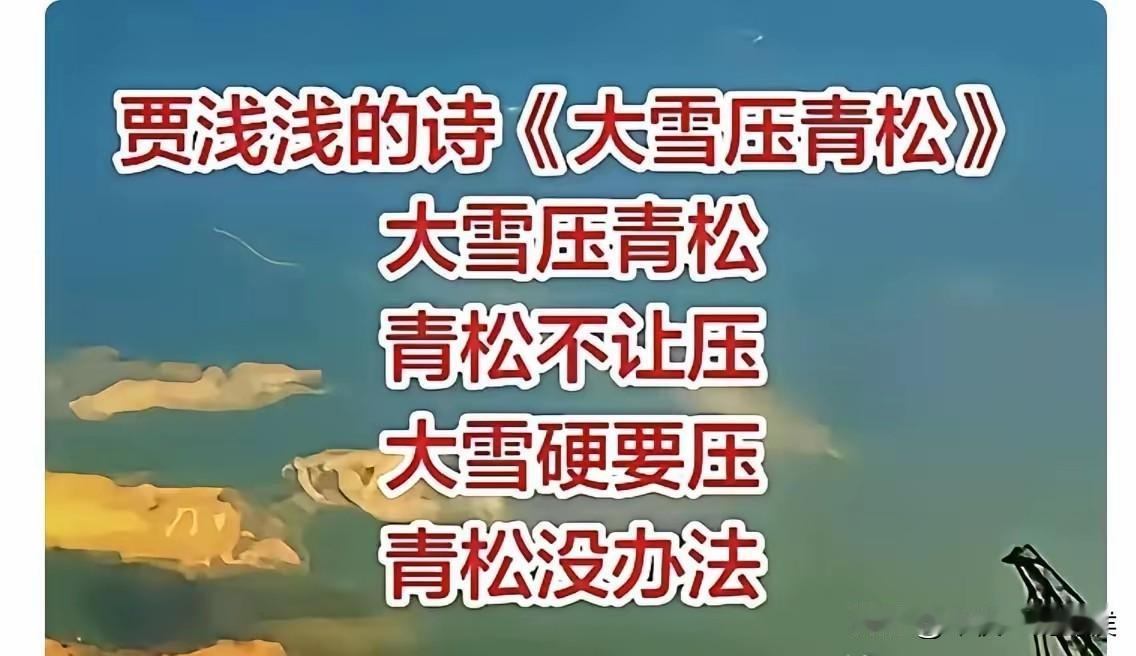 每次看了贾浅浅的诗，特别容易诗意大发，因为你发现，写诗很容易嘛！我也想来！