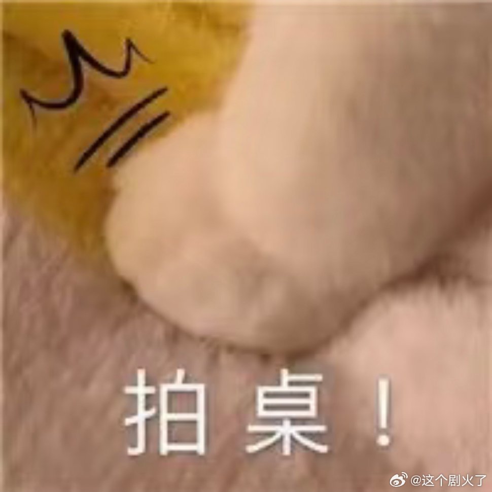 猫咪表情包。