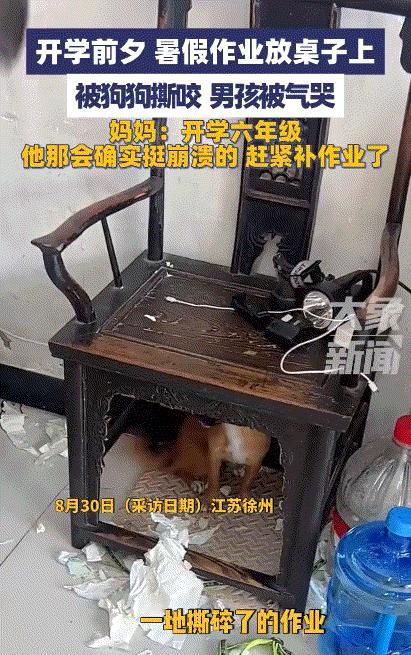 “彻底崩溃了！”暑假开学的前一天，江苏徐州一名6年级的小男孩，好不容易写完的暑假