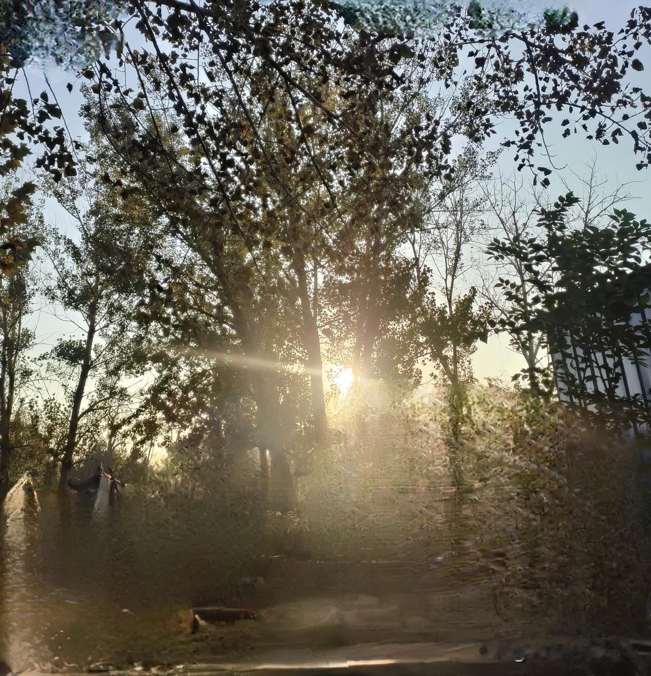 农田地积水没过膝，喇叭还在喊禁烧：农民的急难愁盼，别被“死命令”堵了路田间