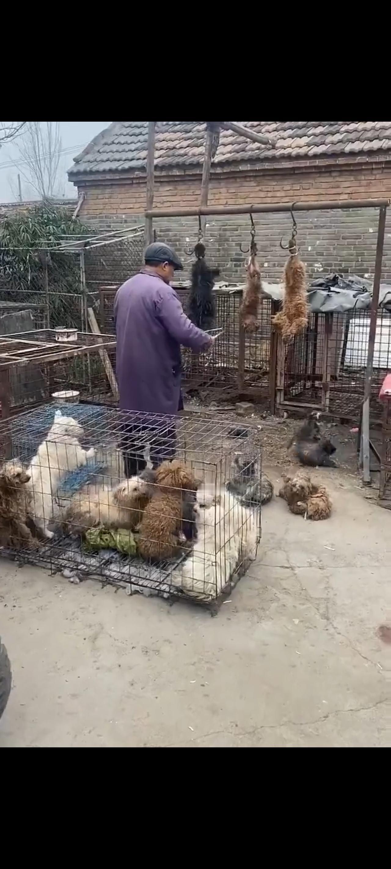 这是一位货运司机，在替雇主拉货的时候，无意间在一处低矮的民房里面所拍摄下来的震撼