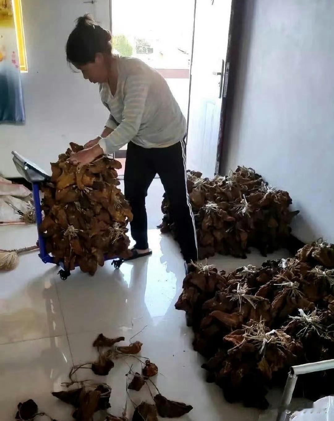 这才是真正的大户人家，太让人羡慕了​​​
