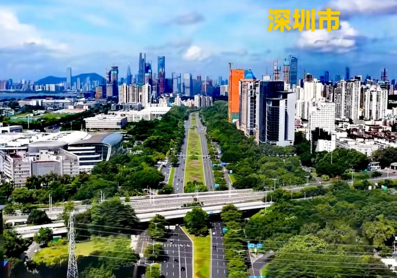 深圳这座城市，高楼林立，城建面貌十分发达。在中国可以说是，算得上真正的高质量发展