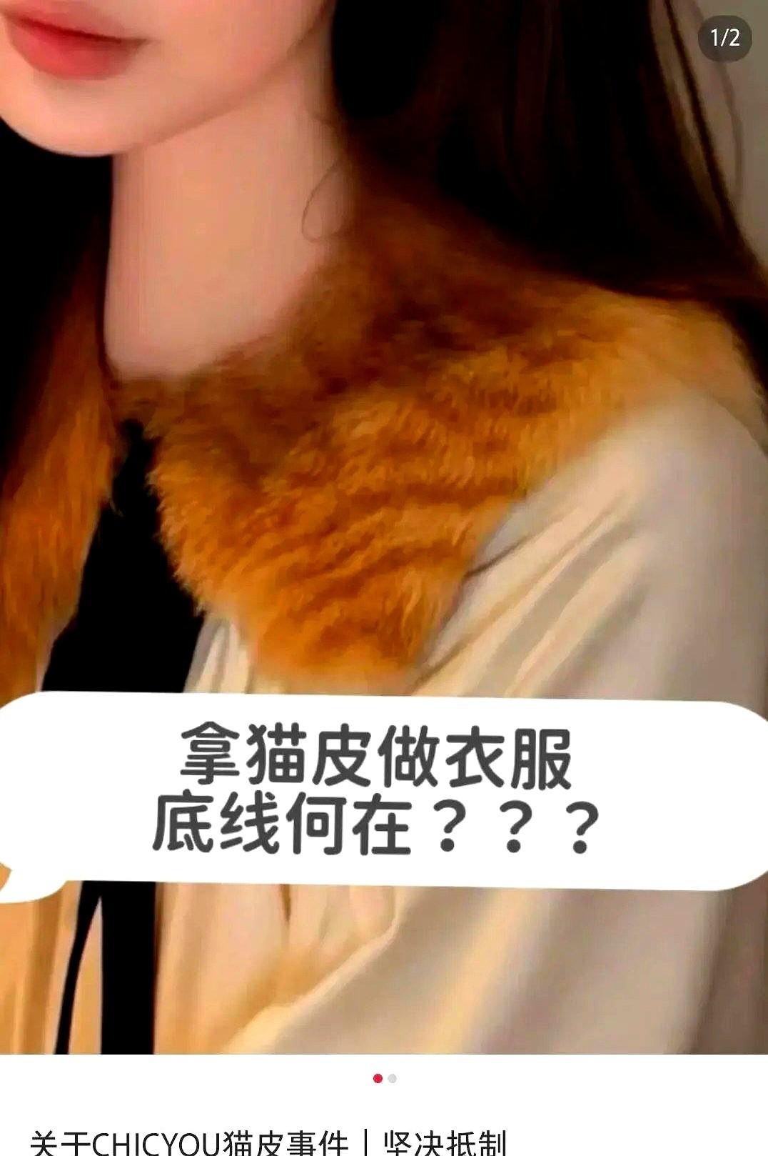 拥有200多万粉丝的女装店CHICYOU，把“100%狸花猫猫毛皮”直接写进了大