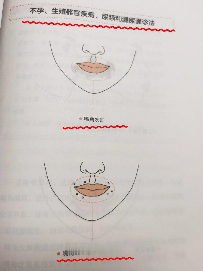 不孕会表现在脸上