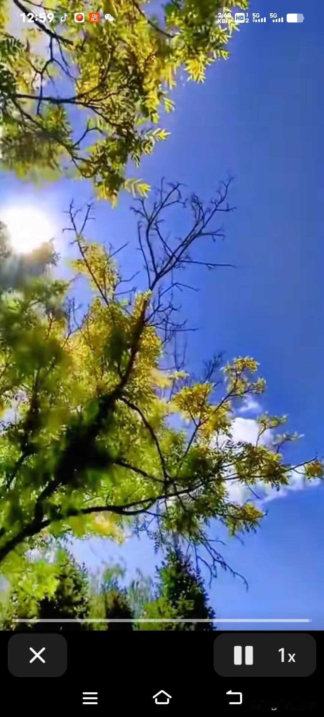 浙江藏天气秘密？直奔30℃后，周末冷空气突袭降温降雨！浙江天气开启变脸游戏！?
