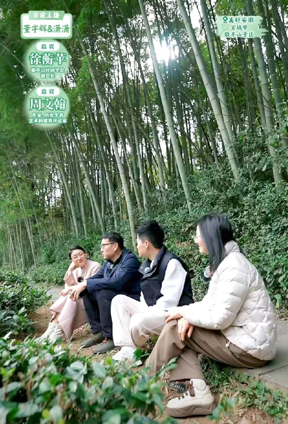 董宇辉太接地气了！直接盘腿席地而坐，一边嚼着随手而摘的茶叶，一边和两位嘉宾老师探