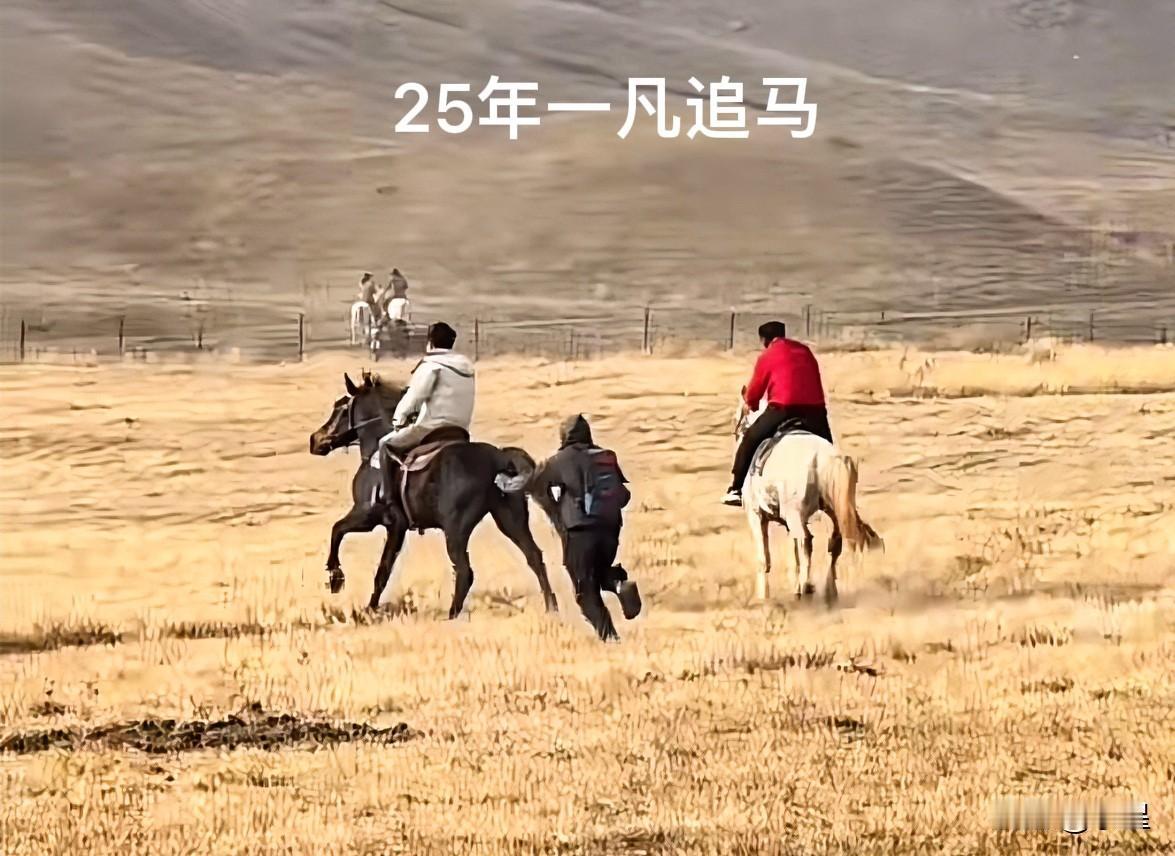又看到明星员工一凡了董宇辉在马上飞，他在地上飞[笑着哭]身手之矫健不亚于那匹马