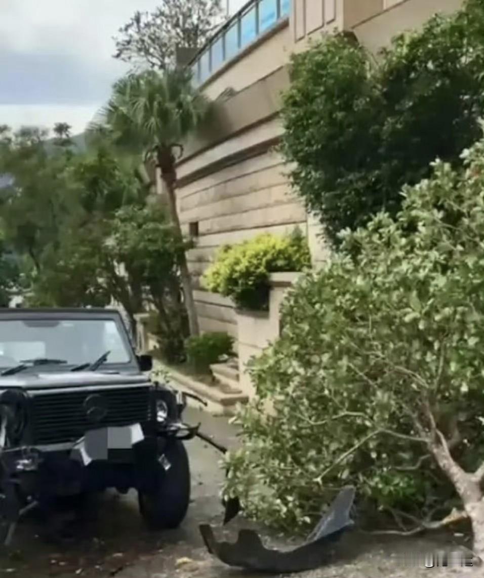 吴君如长出了一口气，陈可辛导演这波操作，既救了狗命，又保住了自己[吃瓜群众