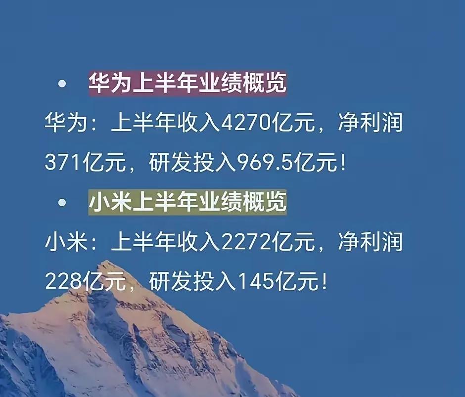 华为的利润率实在是太低了！4270亿对上2272亿，华为几乎把小米的营收按在