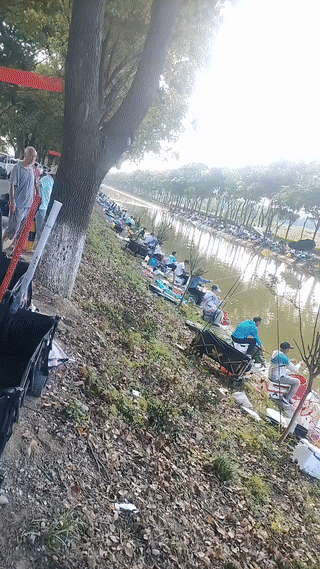 这条河里的鱼，难道是犯了“天条”了吗？河的两边竟然都坐满了钓鱼人？这场面真是