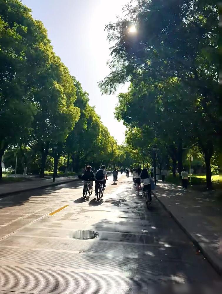 我毕业后才彻底明白，大学真的是人生中最危险的四年。说起来真的臊得慌，我当年大