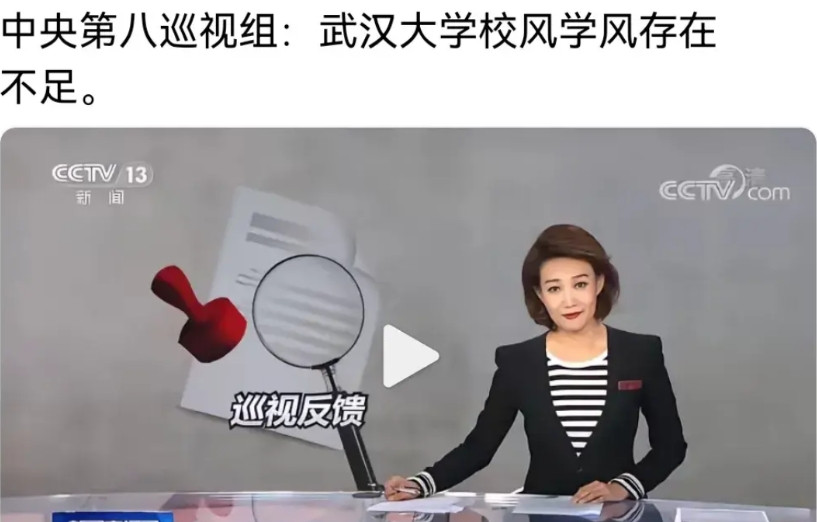 中央第八巡视组：武汉大学校风学风存在不足。看似说的比较委婉，实际上已经算是非常严