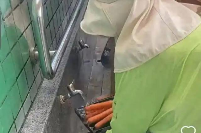 你们来洗脚吗？那我就来洗烤肠咯！在厦门一处沙滩景区，游客们在洗脚池边洗脚，这个时