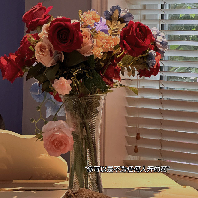 𝙻𝚒𝚟𝚎𝚊𝚐𝚘𝚘𝚍𝚕𝚒𝚏𝚎🧺“普通人普通生