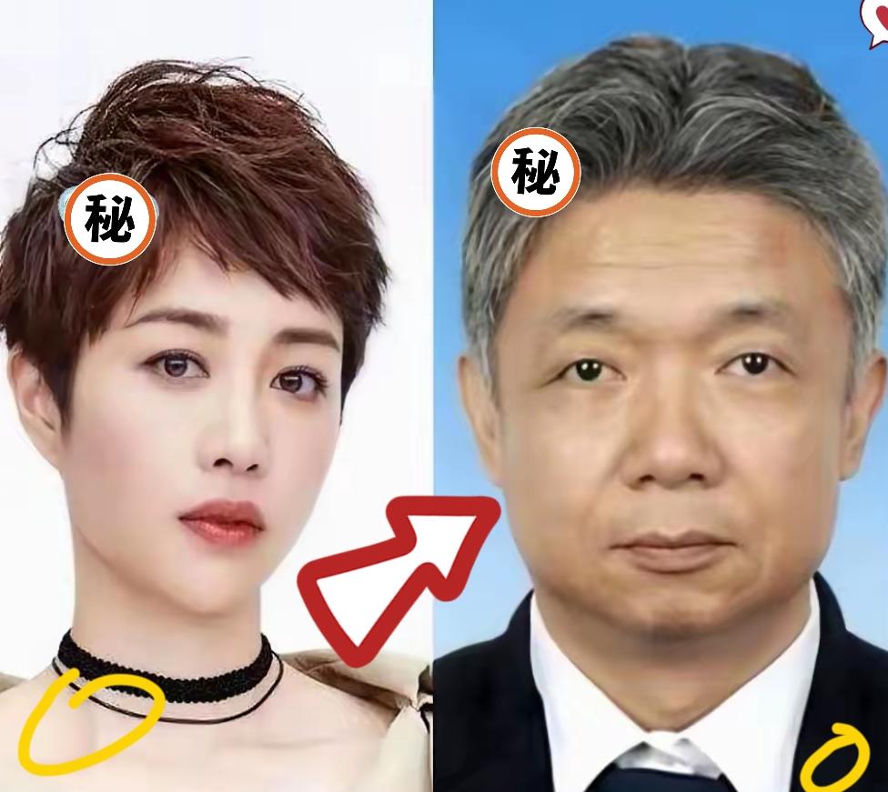 刷到新任北电院长扈强的新闻，属实有点意外。谁能料到堂堂正厅级大佬，居然被小12