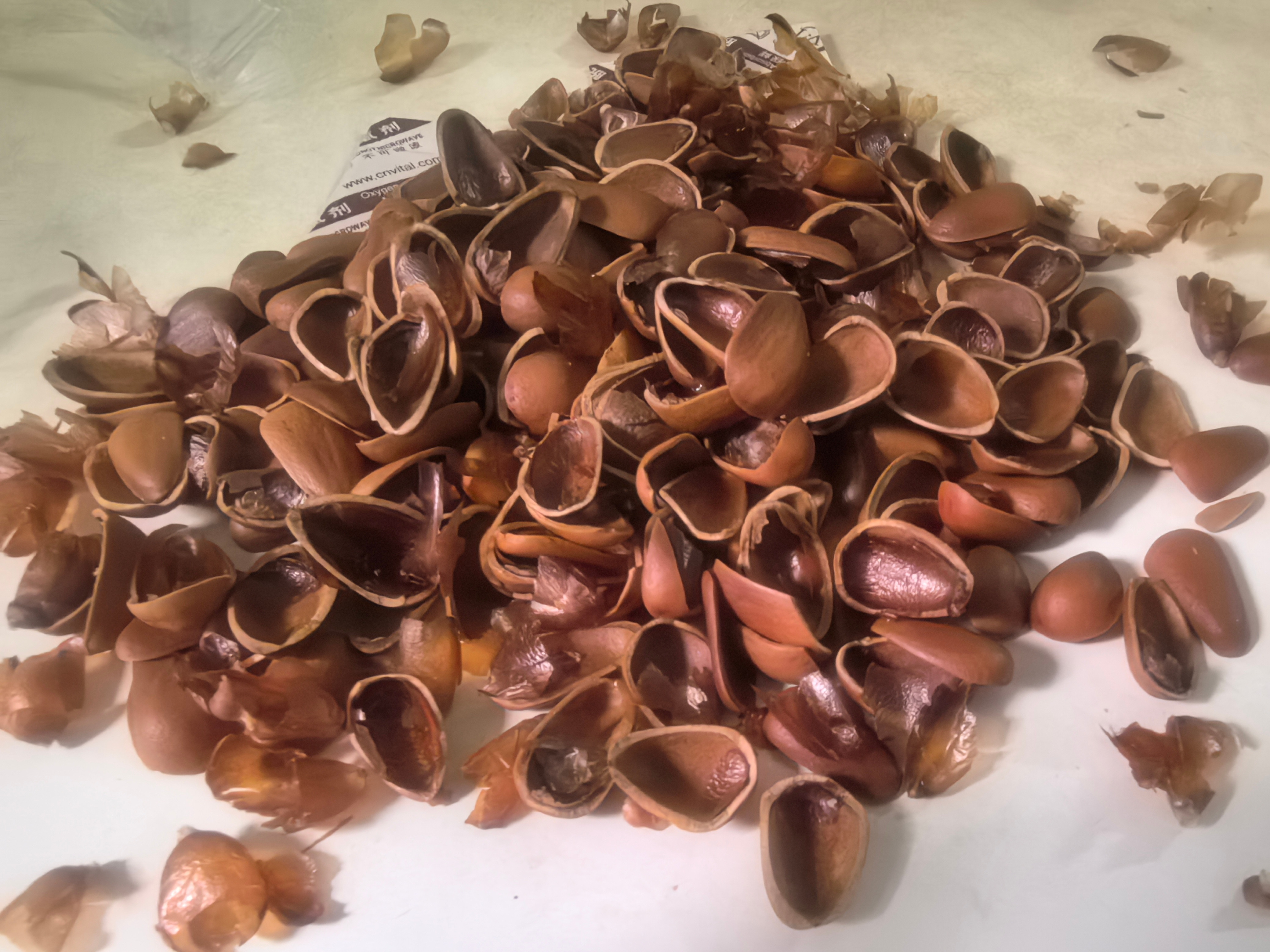 这玩意还不如瓜子。