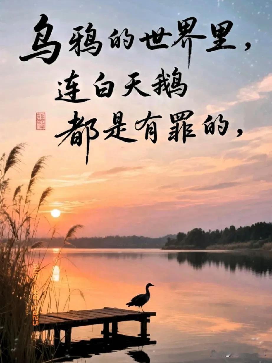 一段很有感触的话：在乌鸦的世界里，白天鹅都是有罪的。内心阴暗之人，总是热衷于戴着
