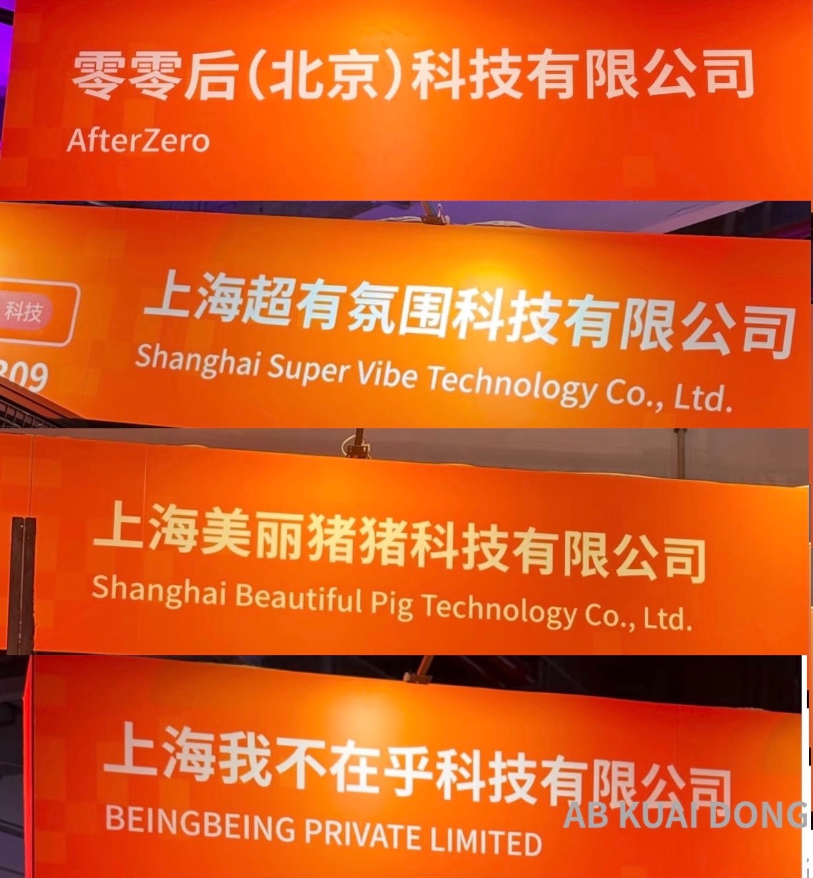 看看这届WAIC人工智能大会，他们怎么给创业公司起名字的。名字不重要，实力起