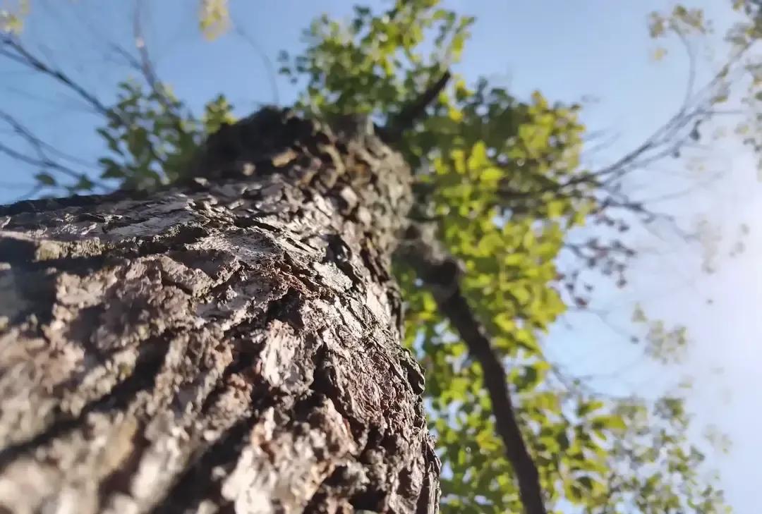 34岁表弟还单着，年夜饭桌上只剩我和他对着两盘饺子。十年前屋里挤满人，爸妈在厨房