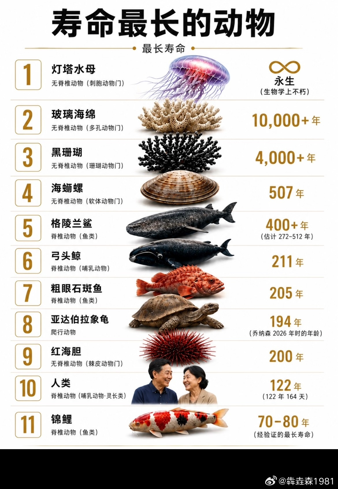 寿命最长的动物