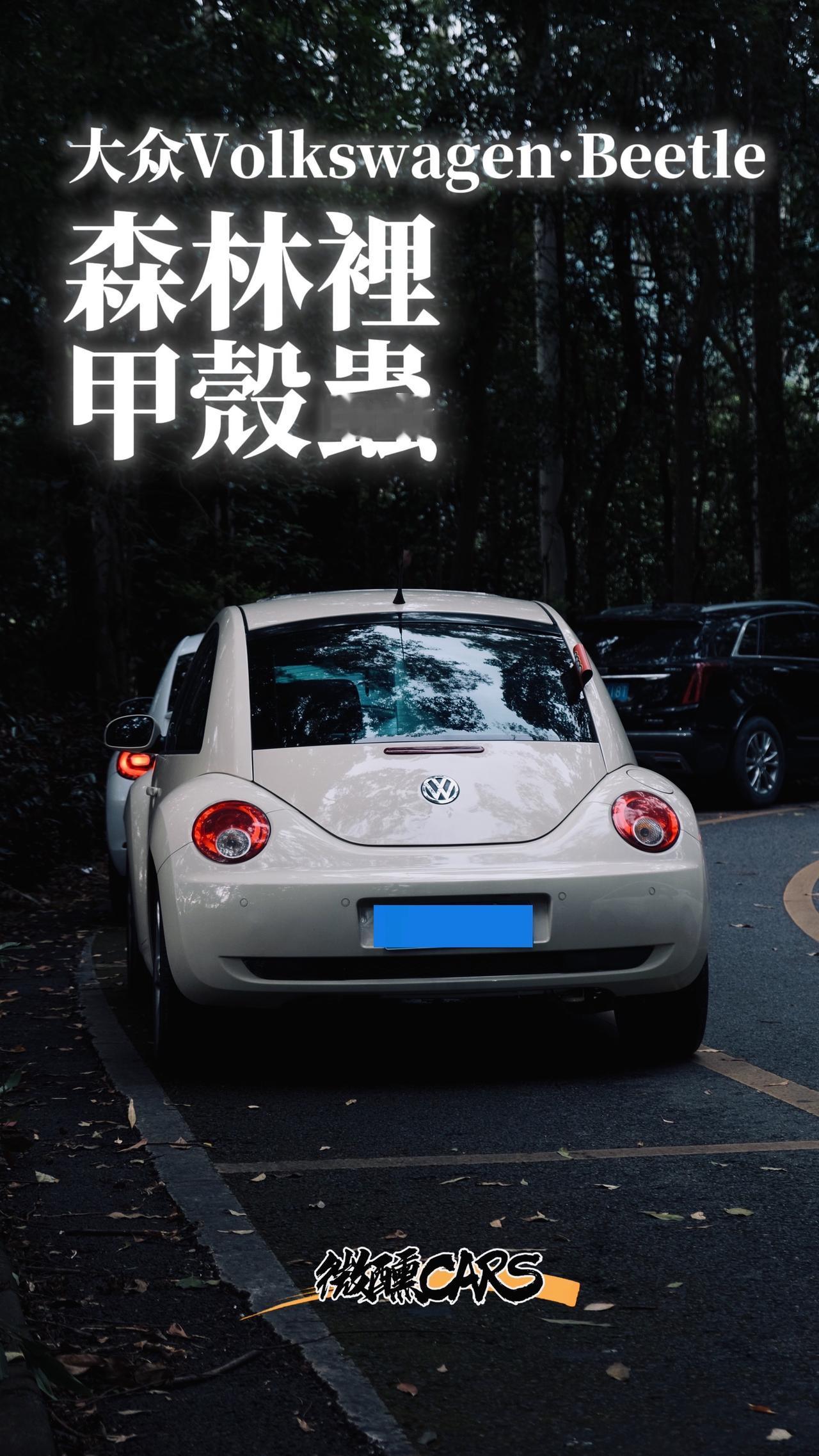 既然喜欢，那么就要包容它的所有缺点！汽车摄影摄影森林大众甲壳虫