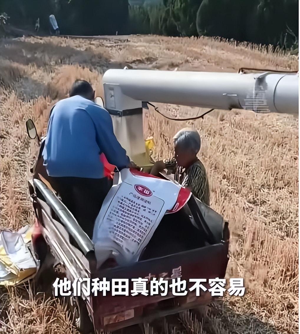 令人心酸！河南济源，男子开收割机帮一对老农户收割麦子，可是割完三亩地麦子只有2个