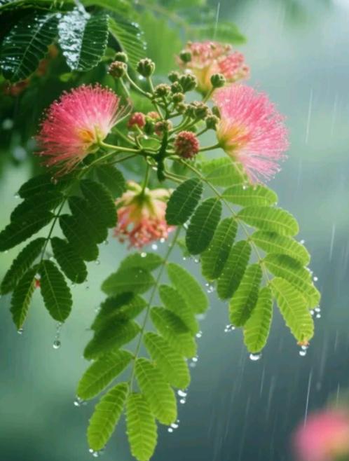 最耗感情的，从来不是吵架而是冷战冷战是无声的消耗战，比大吵大闹更伤人心，沉