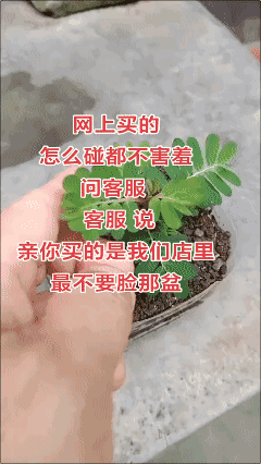 客服这么回答我似乎没毛病！🌚