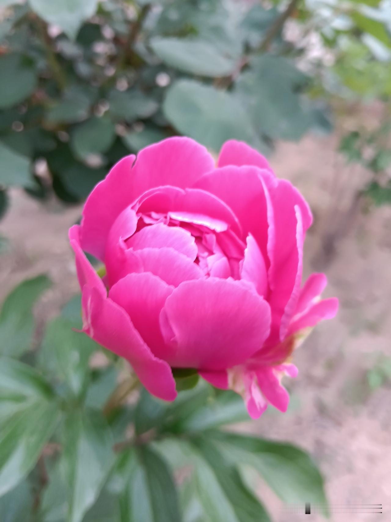 孙子才是爷爷最大的财富。古人言：晚年万般皆看淡，唯有孙儿抵万金。白发有孙常相伴