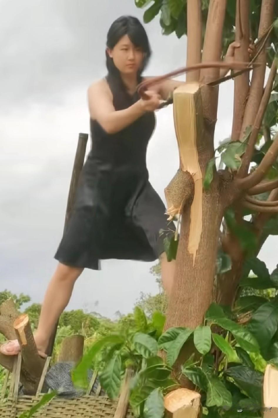 想谈，但又怕她分肢的时候也这么淡定，这是谁家姑娘极其雄壮！温室养不出娇艳坚强的