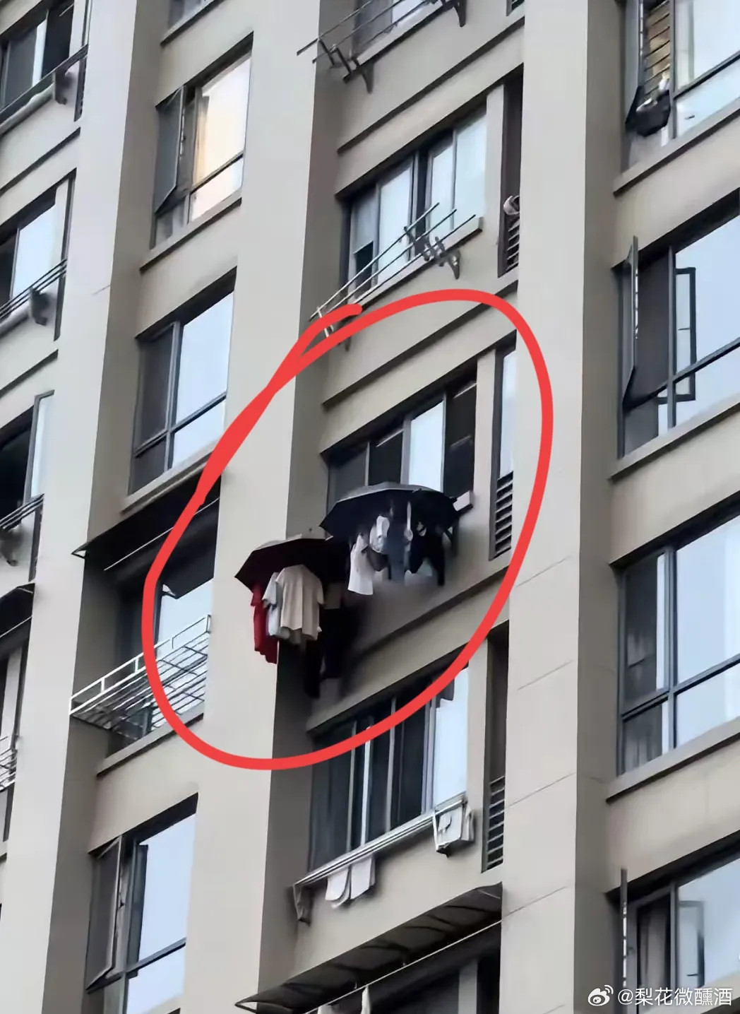果然高手在民间啊，人怎么可以聪明到这个程度？这户业主把衣服晾在外面，竟然给它打了