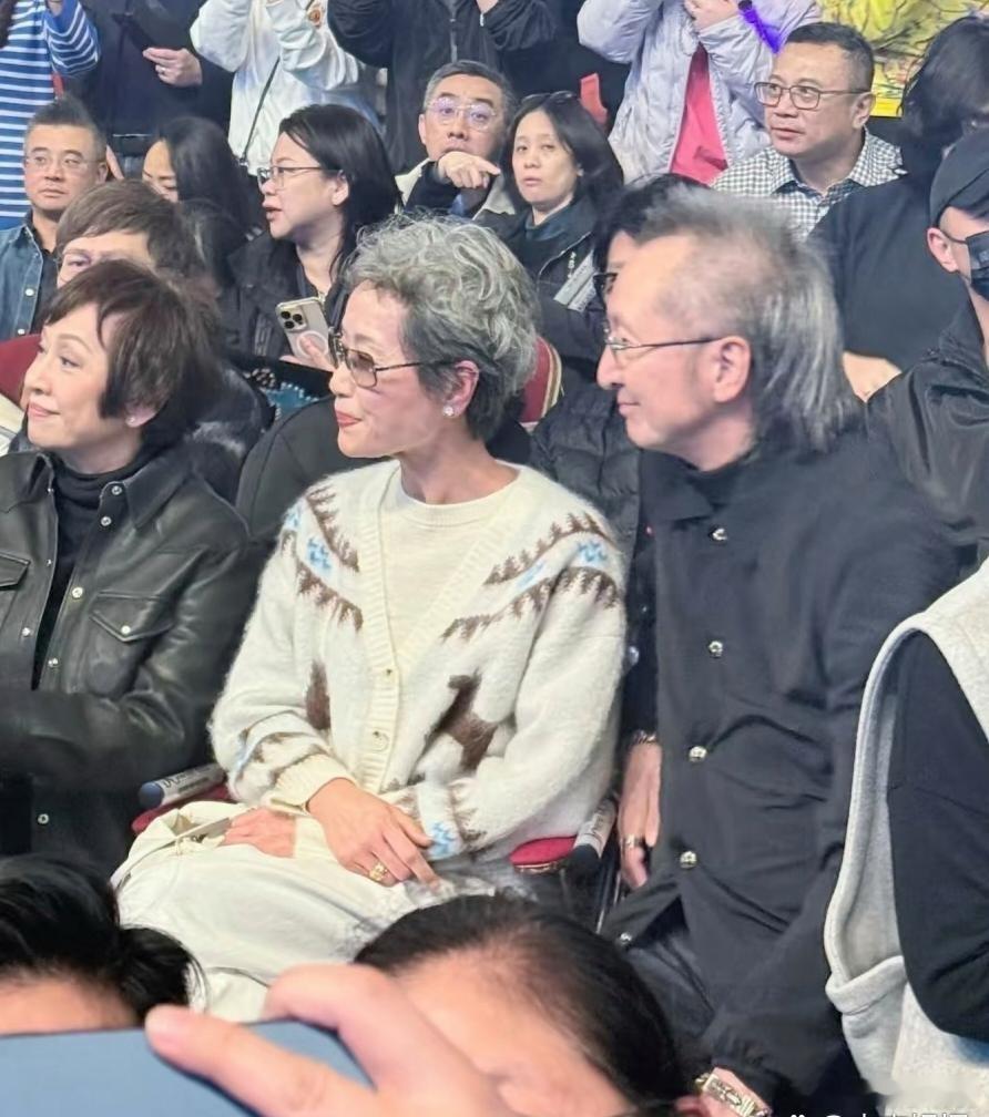 62岁叶童和老公陈国熹一起去看演唱会，夫妻俩都白发苍苍了，而且身材都很瘦，但看起