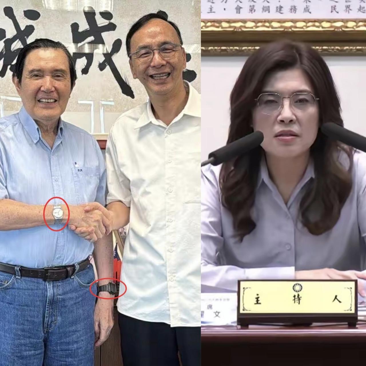 蓝营提案明年交权，郑丽文被包围了——这盘棋，谁在下？7月25日国民党全代会还