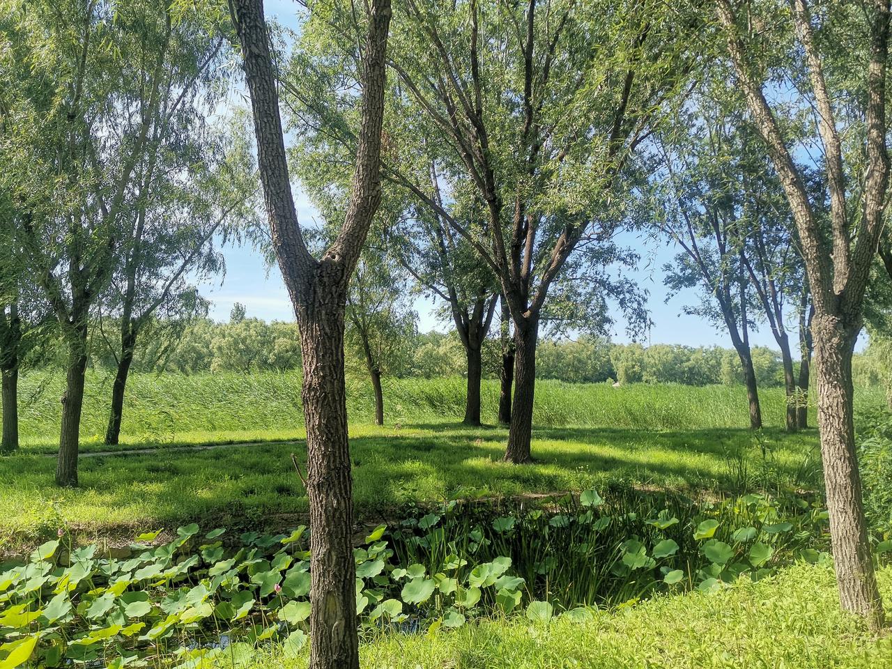 黄帝内经之养生秘籍（一）人值青壮年时，往往囿于人间琐事，身不由己，弄得