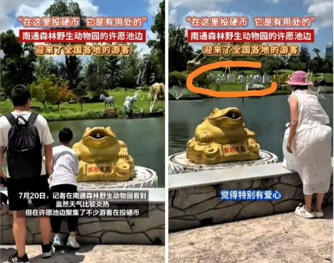 一觉醒来，南通动物园彻底坐不住了，不就是捐了许愿池里的金币嘛，没想到马上