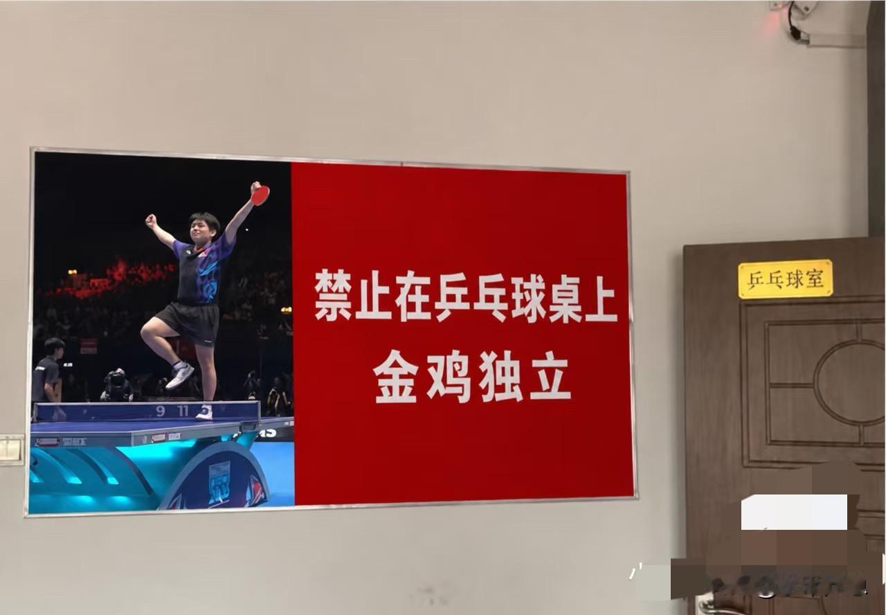 谁都不服，就服中国网友[笑着哭]林诗栋跳上球台庆祝球迷紧跟时事，火速P了一张