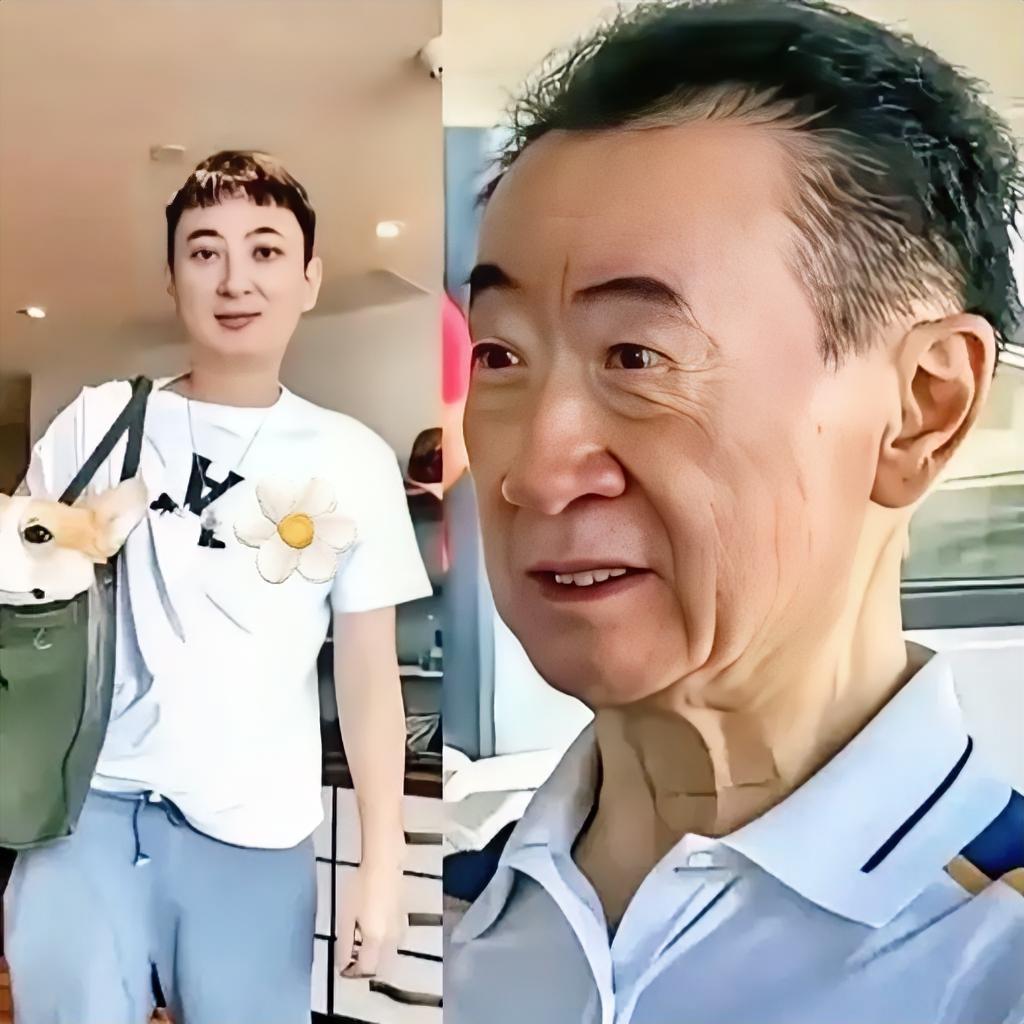 难怪王思聪能安心看女团，原来王健林早已为万达铺好了“回血棋局”！抛售40多