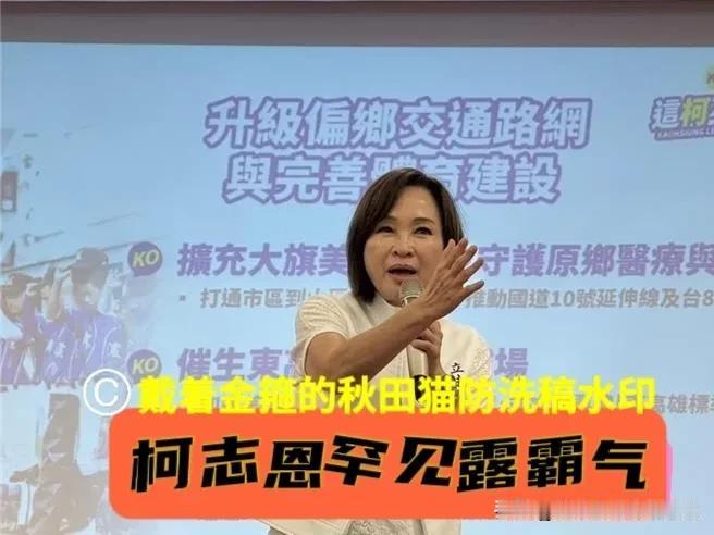 柯志恩罕见露霸气！怒轰“绿能”变“绿金”，怒揭绿营光电弊案一桩接一桩，攻击性十