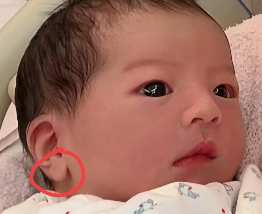郭天王三女儿的面相不简单，不仅是因为高鼻梁，也不仅是因为眼睛，最重要的是她