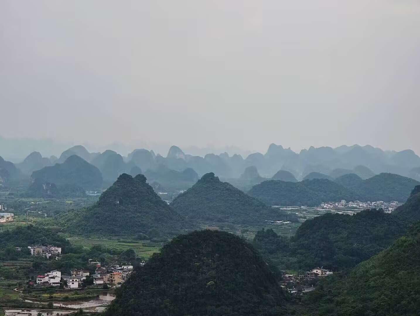 姐妹们快去看金丙太太的《月向西行》，伪兄妹+寄养梗+暗恋成真，高岭花为...