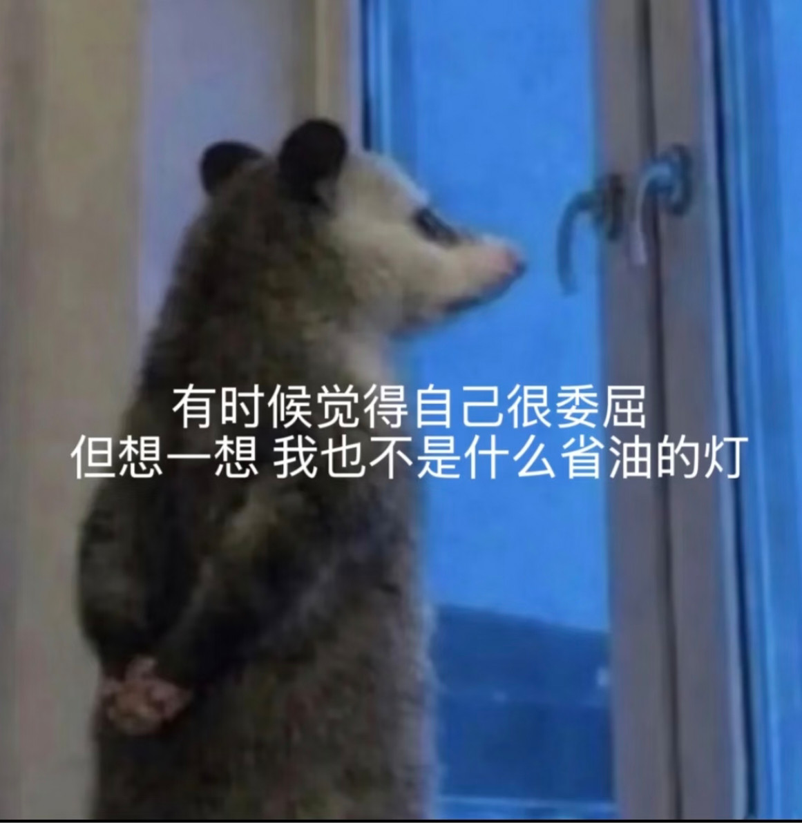 利雅得胜利0比1大阪钢巴去年亚冠面对横滨水手亮出没有台湾的中国地图迷之TIFO，